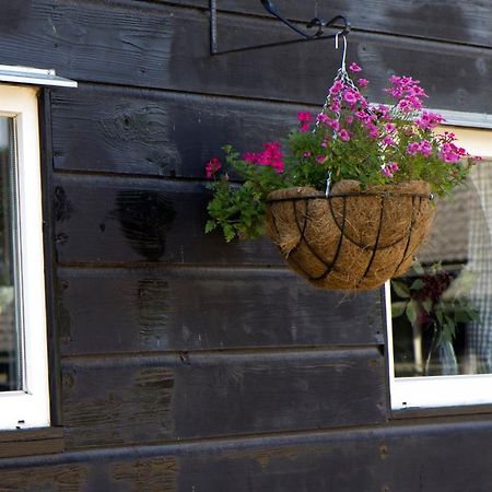 De Schaapskooi - Knus Veluws Vakantiehuisje Ede Extérieur photo